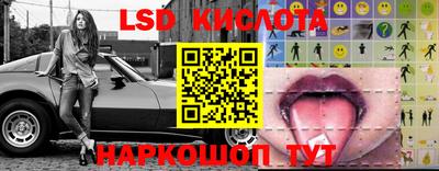 шишки Краснодар