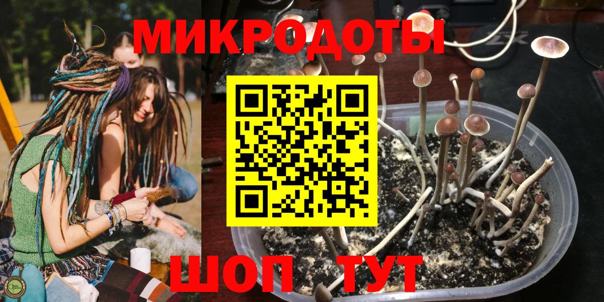 Галлюциногенные грибы GOLDEN TEACHER  Вход с VPN  Клинцы 