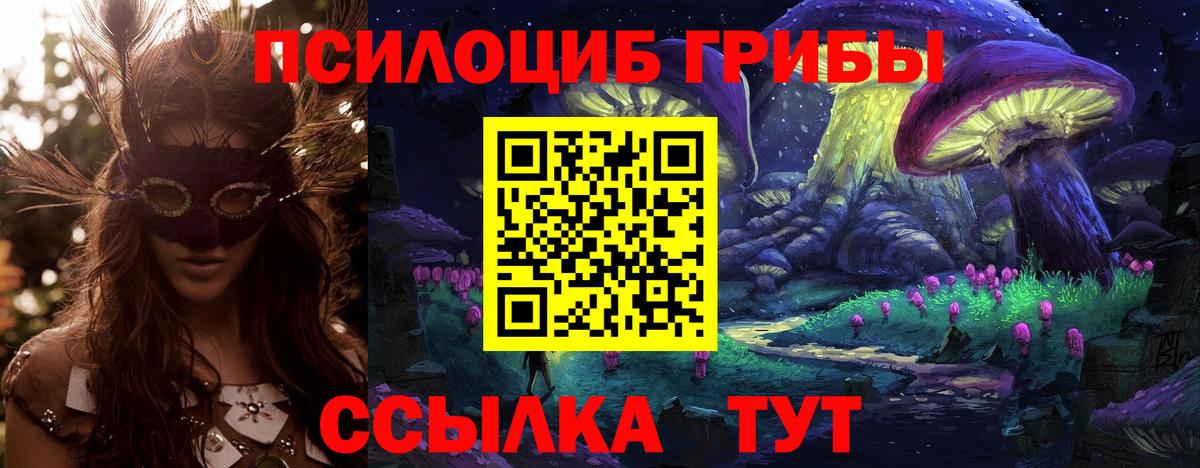 Псилоцибиновые грибы мицелий Клинцы